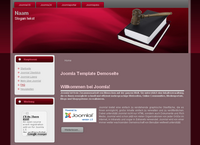 IBSI-US.COM Affordable Custom Web site design Tampa Florida